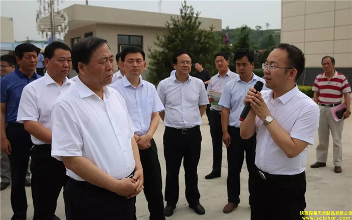 省委常委、省委統(tǒng)戰(zhàn)部部長、副省長姜鋒蒞臨森弗產(chǎn)業(yè)園調研大健康產(chǎn)業(yè)發(fā)展情況