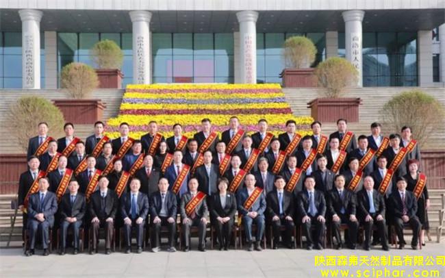 陜西森弗被評為“商洛市優(yōu)秀民營企業(yè)”，董事長金新康榮獲“商洛市優(yōu)秀民營企業(yè)家”稱號